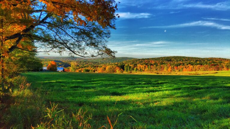 Trusted Banking Since 1847 National Iron Bank